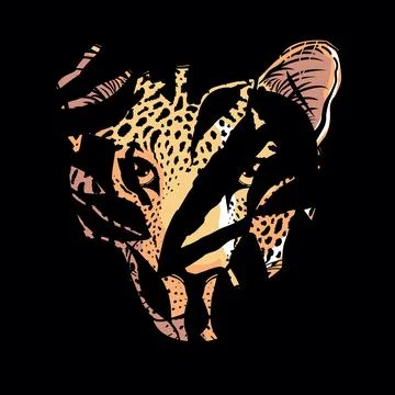 Leopard face Illustrazione stock