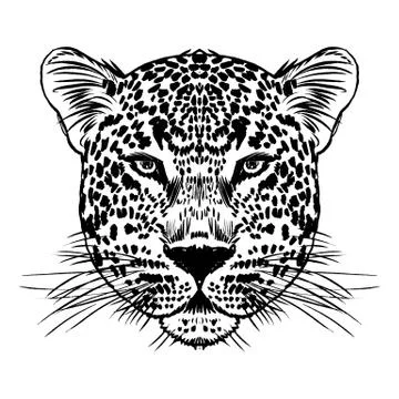 Leopard face tattoo ,Vector illustration, print Stock Illustration