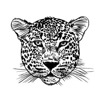 Leopard face tattoo ,Vector illustration, print Stock Illustration