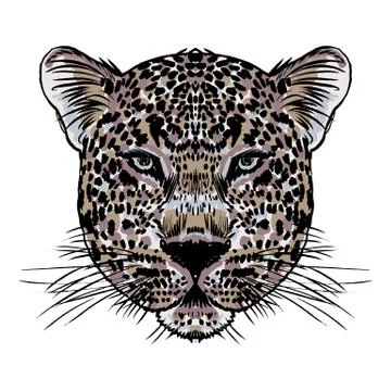 Leopard face tattoo ,Vector illustration, print Stock Illustration