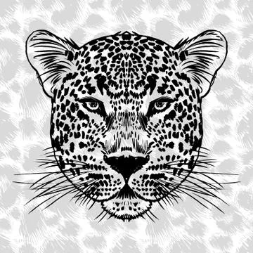 Leopard face tattoo ,Vector illustration, print Stock Illustration