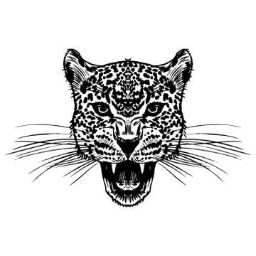 Leopard face tattoo ,Vector illustration, print Stock Illustration