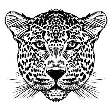 Leopard face tattoo ,Vector illustration, print Stock Illustration