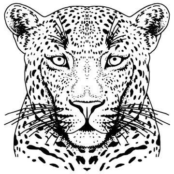 Leopard face tattoo ,Vector illustration, print Stock Illustration