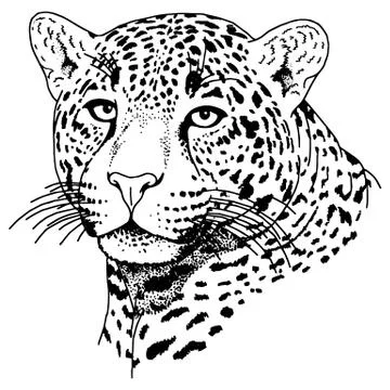 Leopard face tattoo ,Vector illustration, print Stock Illustration