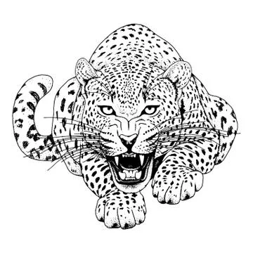 Leopard face tattoo ,Vector illustration, print Stock Illustration