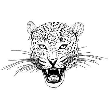 Leopard face tattoo ,Vector illustration, print Stock Illustration
