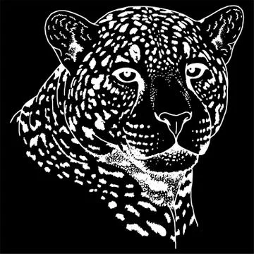 Leopard face tattoo ,Vector illustration, print Stock Illustration