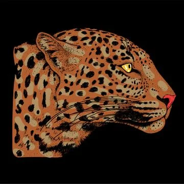 Leopard face tattoo ,Vector illustration, print Stock Illustration