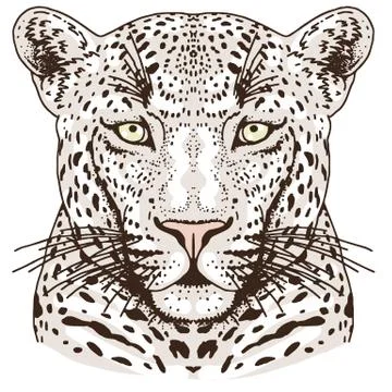 Leopard face tattoo ,Vector illustration, print Stock Illustration