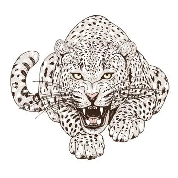 Leopard face tattoo ,Vector illustration, print Stock Illustration