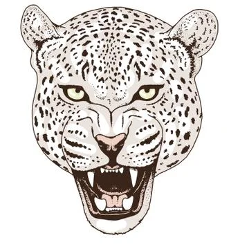 Leopard face tattoo ,Vector illustration, print Stock Illustration
