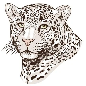 Leopard face tattoo ,Vector illustration, print Stock Illustration