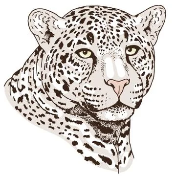 Leopard face tattoo ,Vector illustration, print Stock Illustration