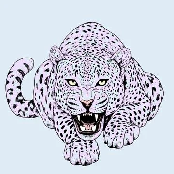 Leopard face tattoo ,Vector illustration, print Stock Illustration
