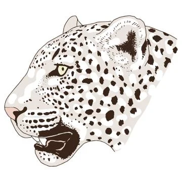 Leopard face tattoo ,Vector illustration, print Stock Illustration