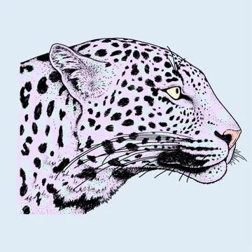 Leopard face tattoo ,Vector illustration, print Stock Illustration