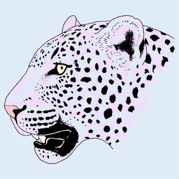 Leopard face tattoo ,Vector illustration, print Stock Illustration