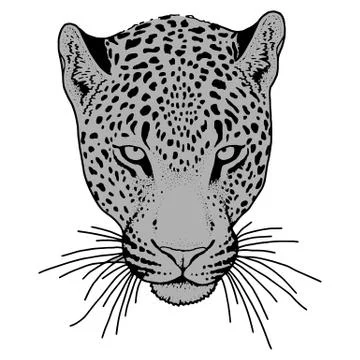 Leopard face tattoo ,Vector illustration, print Stock Illustration