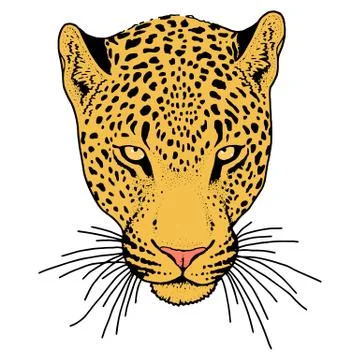 Leopard face tattoo ,Vector illustration, print Stock Illustration