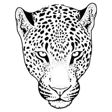 Leopard face tattoo ,Vector illustration, print Stock Illustration