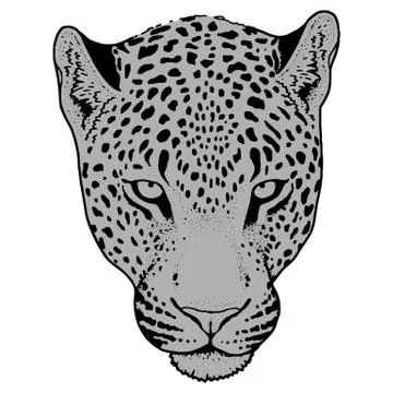 Leopard face tattoo ,Vector illustration, print Stock Illustration