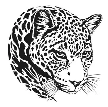 Leopard face tattoo ,Vector illustration, print Stock Illustration