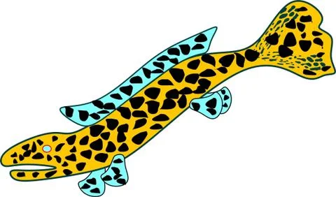 Leopard Fish Stock Illustration