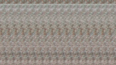 Leopard Stock Footage 118245809