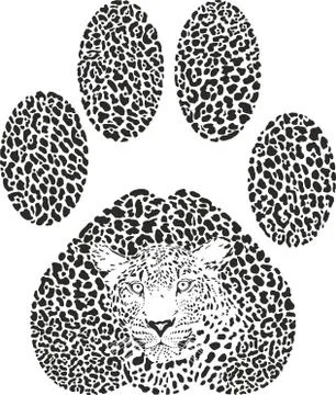 Leopard footprint. Stock Illustration