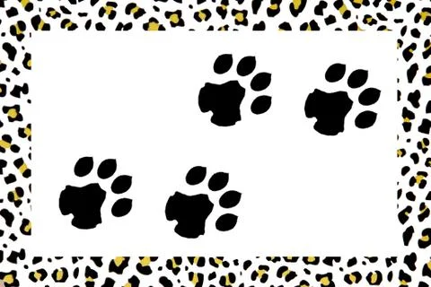 Leopard footprints Foto stock