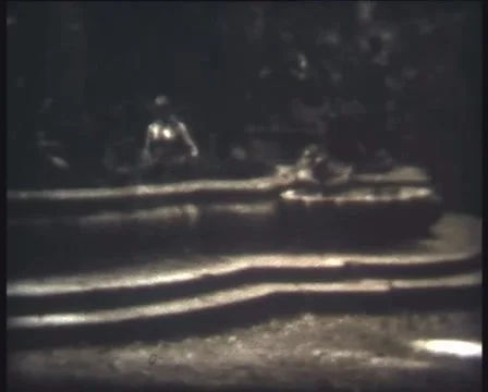 The Leopard fountain Stock Footage 67450761