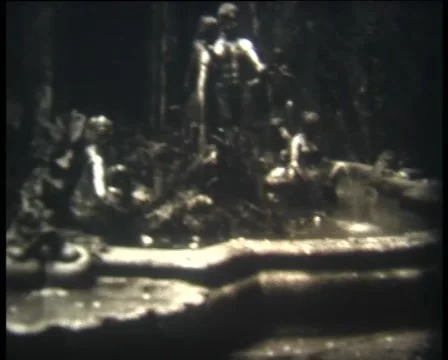 The Leopard fountain Stock Footage 67450774