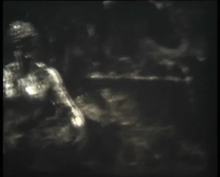 The Leopard fountain Stock Footage 67450816