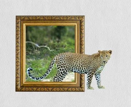 Leopard in frame with 3d effect 写真素材