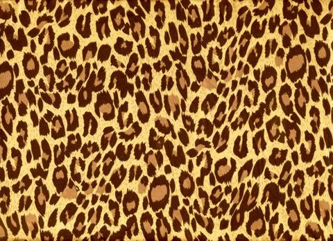Leopard fur as background Stock Illustration