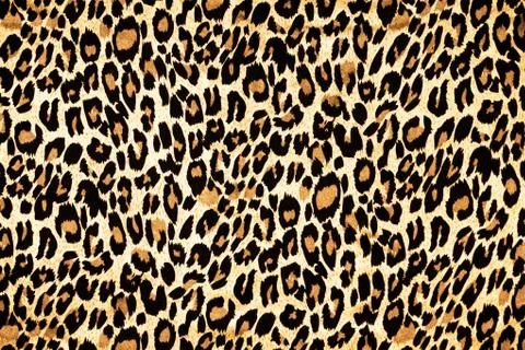 Leopard fur as background Stock Illustration