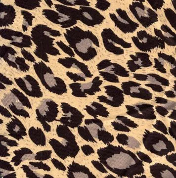 Leopard fur as background Stock Photos