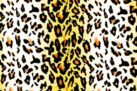 Leopard fur as background Stock Photos