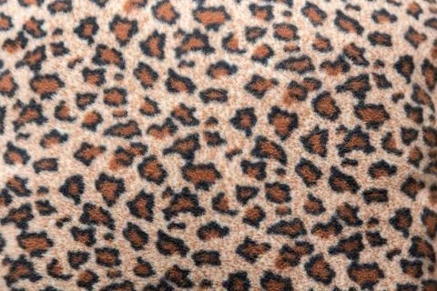 Leopard Fur Background Stock Photos