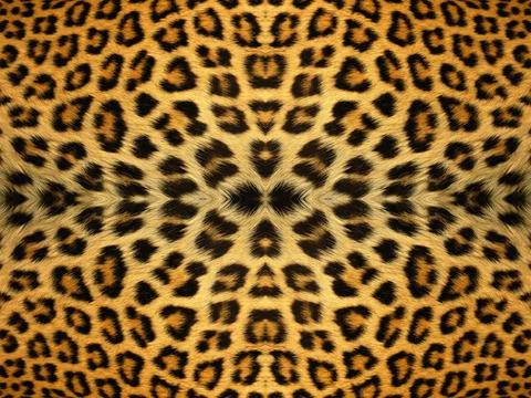 Leopard Fur Pattern Black and orange leopard fur pattern Copyright: xZoona... Stock Photos