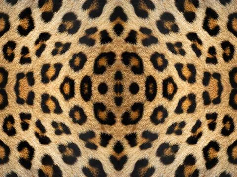 Leopard Fur Pattern Black and orange kaleidoscope leopard fur pattern Copy... Stock Photos
