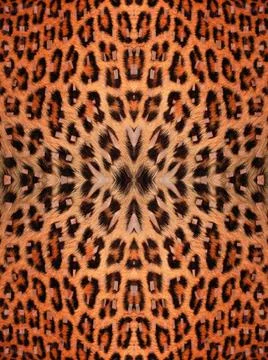 Leopard Fur Pattern Black and yellow leopard fur pattern Copyright: xZoona... Stock Photos