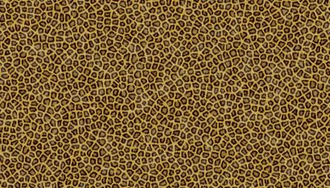 Leopard Fur Stock Photos