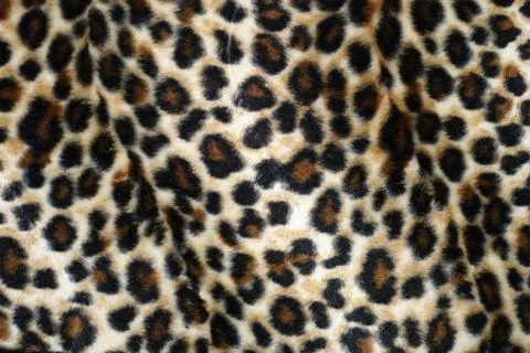 Leopard fur 스톡 사진