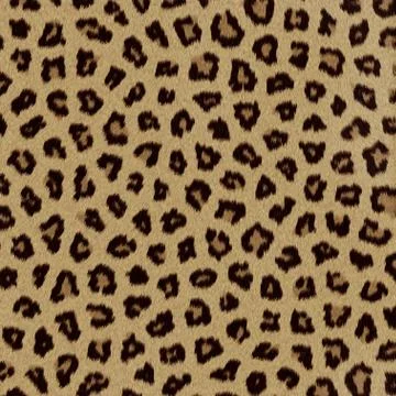 Leopard fur (skin) background or texture Stock Illustration