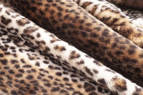 Leopard fur texture background close up Stock Photos
