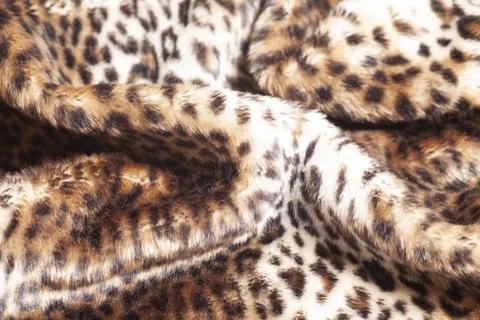 Leopard fur texture background close up 스톡 사진