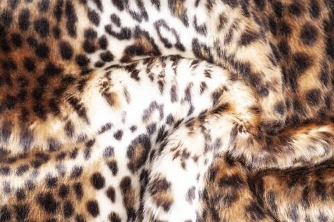 Leopard fur texture background close up 스톡 사진