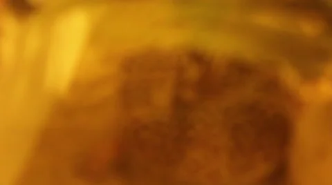 Leopard Gecko Shedding Stock-Footage 43234738